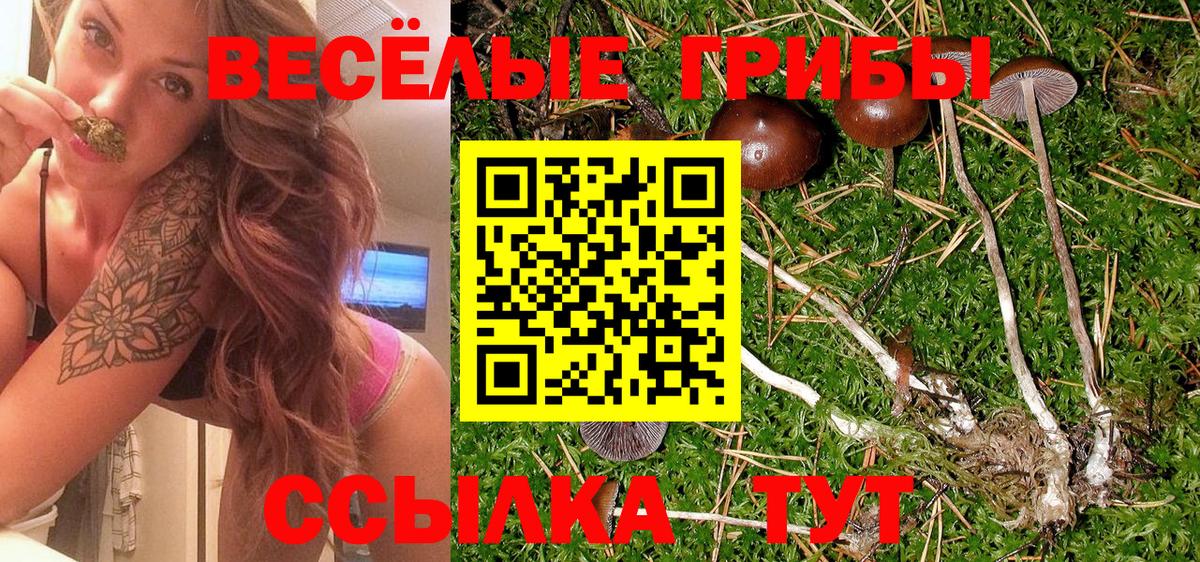 Южноуральск  Псилоцибиновые грибы MAGIC MUSHROOMS  Вход с VPN 
